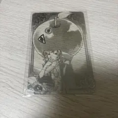 家庭教師ヒットマンREBORN! 箔カードコレクション