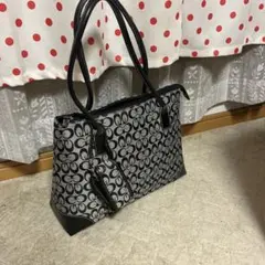 Item thumbnail for item 99161260-0e35-4d53-8700-e29a8d0dea83