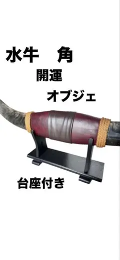 2025年最新】水牛 角 オブジェの人気アイテム - メルカリ