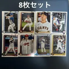 Item thumbnail for item 3066481d-e5f2-40a4-920f-0aeadfc3d854