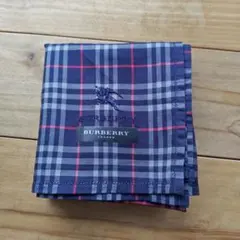 Item thumbnail for item a360587a-729a-42cf-bc4d-b9f753e74165