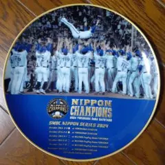 Item thumbnail for item a8398709-fd86-46fd-b604-7a80dd588f32