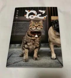 岩合光昭　ねこ　写真集　ミニサイズ