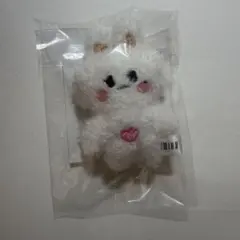 ALD1 ボイプラ サンウォン 10cm マスター ぬいぐるみ - メルカリ