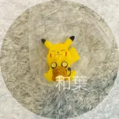 ポケモン ポケモンキッズ 30周年スペシャル vol.2 ピカチュウ&デデンネ