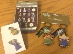 ファンタジースプリングス　アナ雪のキーチェーン　ピンバッチセット　ディズニーシー