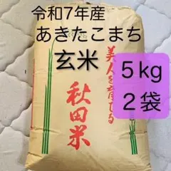令和7年秋田県産あきたこまち20キロ - メルカリ