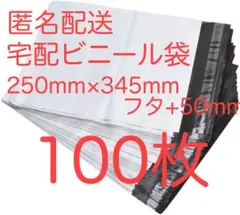 宅配ビニール袋 A4 大きめ　ワンタッチテープ 強力テープ付き