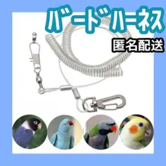 ✨️バードスーツ ハーネス リード インコ オウム フライトスーツのサムネイル