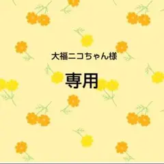 専用　大福ニコちゃん様おまとめ品