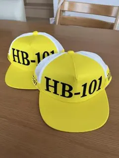 Item thumbnail for item 4f3eb693-3a00-46ce-8425-6551615650dc