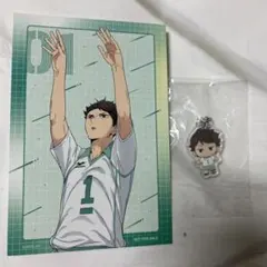 ハイキュー アニメイト 特典 ビジュアルカード めじるしアクセサリー及川徹