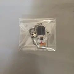 RIIZE アクリルキーホルダー 東京ドーム ソヒのサムネイル