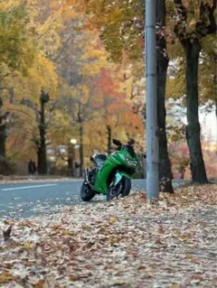 Ninja250rのサムネイル