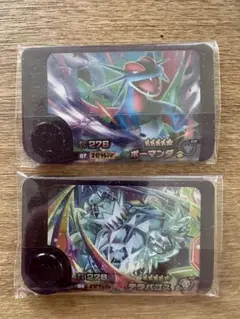 ポケモン フレンダ スーパートレジャー テラパゴス ボーマンダ