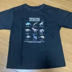 GLOBAL WORK 恐竜プリント Tシャツ 130