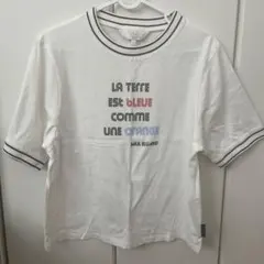 ホワイト Tシャツ 38サイズ ストライプ襟のサムネイル