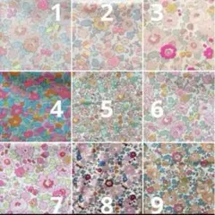 Item thumbnail for item 96be1e59-9d4f-459a-b580-718cc2e92c8a