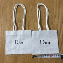 Dior ショッピングバッグ 2個セット