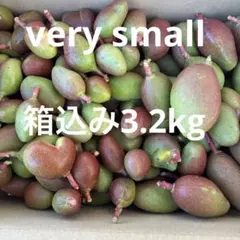 2026年最新】摘果マンゴーの人気アイテム - メルカリ