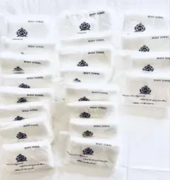 Item thumbnail for item 2073e2ea-27ee-488c-a4ca-77c94ad9068f