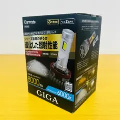 GIGA LEDヘッド＆フォグバルブ BW592【新品・未使用】のサムネイル