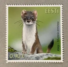 こば様 リクエスト 2点 まとめ商品