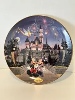 DL1995￼ Sleeping Beauty Castle40周年記念プレート