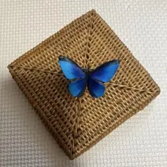 Item thumbnail for item 350f09a1-946b-4ba8-b7d5-f4d9eef30378