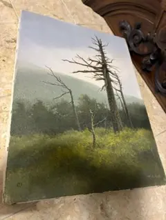 相田武 Takeshi Aida 渓流 油絵 アート 袋田の滝 絵画 額装 - メルカリ