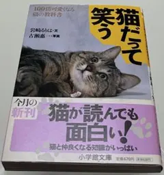 猫だって笑う : 100倍可愛くなる猫の教科書