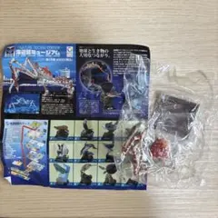 10％値下げ可 ネイチャーテクニカラー 鳥羽水族館立体コレクション3