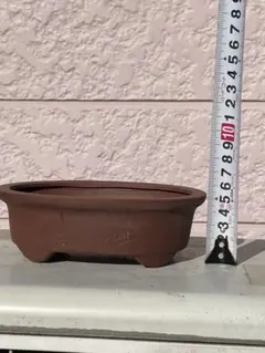 2026年最新】鉢 朱泥の人気アイテム - メルカリ