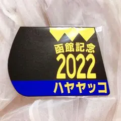 競馬のゼッケン 推ししか勝たん！”競馬ゲームから誕生したペット向け商品 愛犬