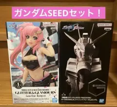 機動戦士ガンダムSEED FREEDOM 2体セット！