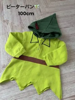 Disney ピーターパン　なりきりコスチューム　100cm