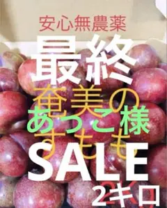 あっこ様★最終SALE★安心無農薬栽培　奄美のすもも　2キロ＋100g