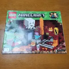 LEGO Minecraft 21143 カタログ(マインクラフト・マイクラ)