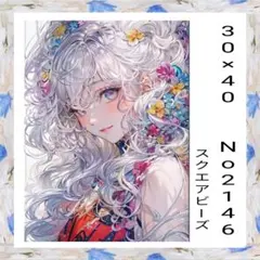 ダイヤモンドアートキット　　No2146　女性