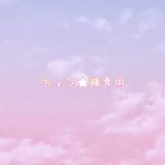 ちょび★様専用