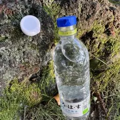 Item thumbnail for item ad4d8505-bc7a-4b07-bec4-cf63af445cc9