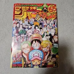 モンキー・D・ルフィ 週刊少年ジャンプ 付録 P-043 ワンピースカード