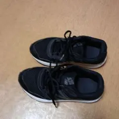 Item thumbnail for item 681e866c-1ac3-463d-a1c7-e62220a40f86