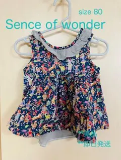 Sense of wonder ワンピース
