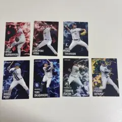 Item thumbnail for item e57f2914-a1b6-4675-a75e-9946f5a715ae