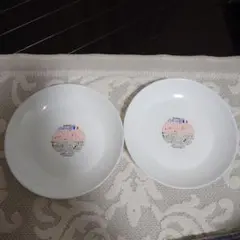 Item thumbnail for item 67251993-8424-420f-bced-d3e93cd7f576