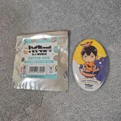 ハイキュー!! J-WORLD イースター 缶バッジ 影山飛雄 ハイキュー!! J-WORLD イースター 缶バッジ 影山飛雄 - メルカリ