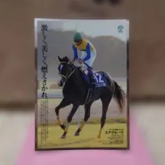 JRA ヒーロー列伝コレクションシール エアグルーヴ