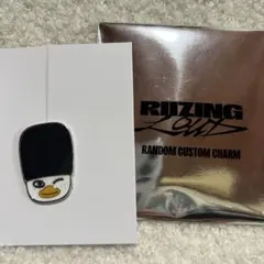 RIIZE ランダムカスタムチャーム　ソヒ　トルビョン