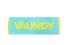 Vaundy SILENCE 東京ドーム 2月15日 VAWSくじ グッズ - メルカリ